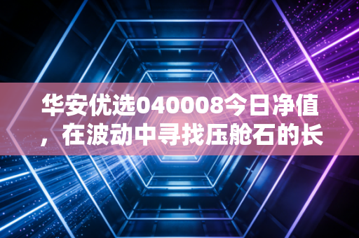 华安优选040008今日净值，在波动中寻找压舱石的长期价值