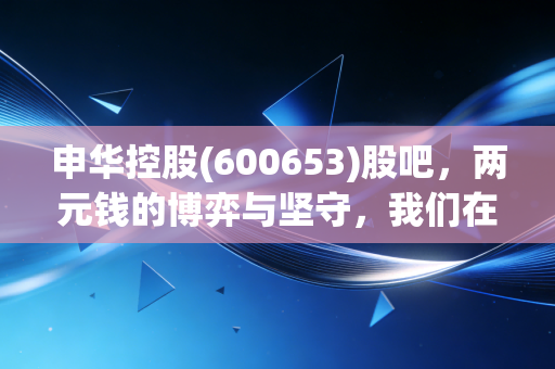申华控股(600653)股吧，两元钱的博弈与坚守，我们在期待一场怎样的翻身仗？
