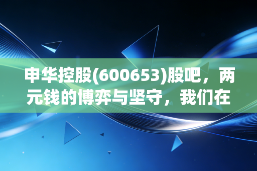 申华控股(600653)股吧，两元钱的博弈与坚守，我们在期待一场怎样的翻身仗？