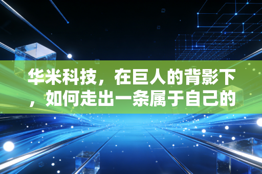 华米科技，在巨人的背影下，如何走出一条属于自己的芯脏健康之路？