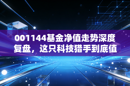 001144基金净值走势深度复盘，这只科技猎手到底值不值得我们托付？