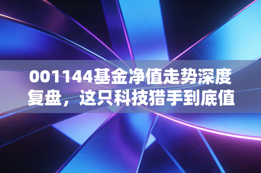001144基金净值走势深度复盘，这只科技猎手到底值不值得我们托付？