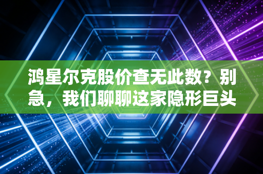 鸿星尔克股价查无此数？别急，我们聊聊这家隐形巨头的真实身价与未来