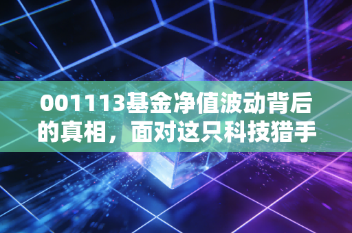 001113基金净值波动背后的真相,面对这只科技猎手,我们该贪婪还是恐惧?