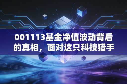 001113基金净值波动背后的真相，面对这只科技猎手，我们该贪婪还是恐惧？