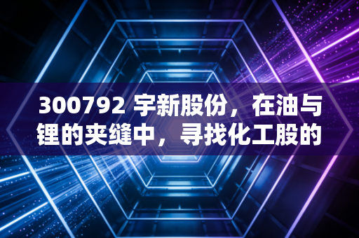 300792 宇新股份，在油与锂的夹缝中，寻找化工股的突围之路