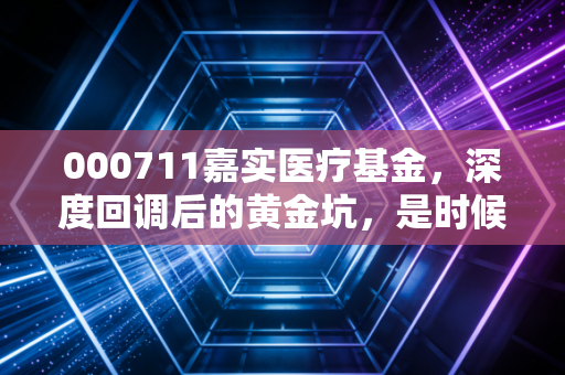 000711嘉实医疗基金，深度回调后的黄金坑，是时候重拾我们的医药信仰了吗？
