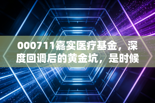 000711嘉实医疗基金，深度回调后的黄金坑，是时候重拾我们的医药信仰了吗？