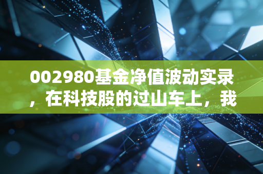 002980基金净值波动实录，在科技股的过山车上，我们该如何守护财富？