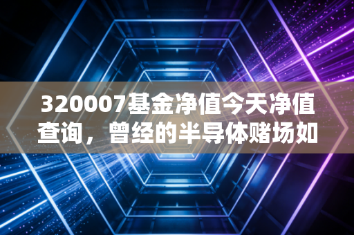 320007基金净值今天净值查询,曾经的半导体赌场如今风平浪静了吗?深度解析诺安成长的得与失
