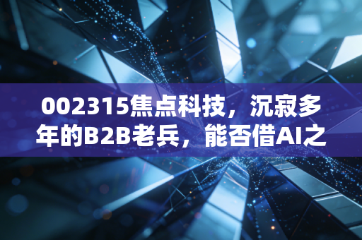 002315焦点科技，沉寂多年的B2B老兵，能否借AI之风重焕新生？
