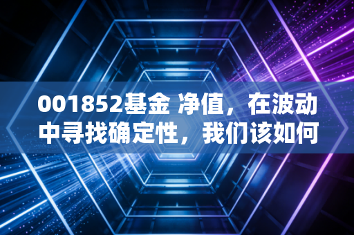 001852基金 净值，在波动中寻找确定性，我们该如何面对这只过山车？