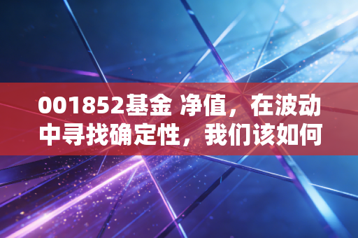 001852基金 净值，在波动中寻找确定性，我们该如何面对这只过山车？
