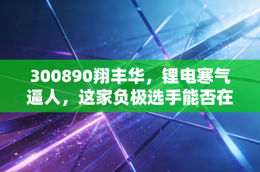 300890翔丰华，锂电寒气逼人，这家负极选手能否在红海中突围？