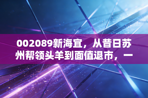 002089新海宜，从昔日苏州帮领头羊到面值退市，一场关于贪婪与侥幸的惨烈教训