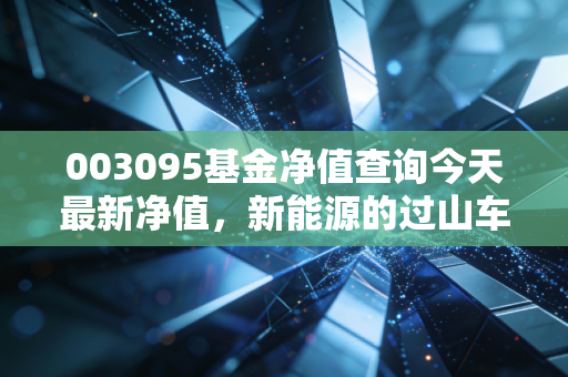 003095基金净值查询今天最新净值，新能源的过山车之后，我们该如何安放手中的筹码？