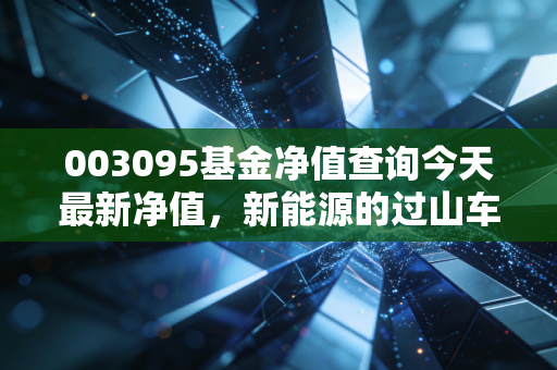003095基金净值查询今天最新净值，新能源的过山车之后，我们该如何安放手中的筹码？