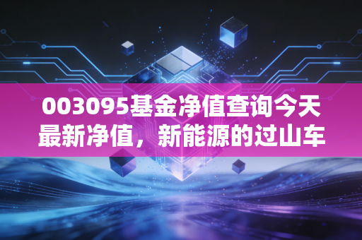 003095基金净值查询今天最新净值，新能源的过山车之后，我们该如何安放手中的筹码？