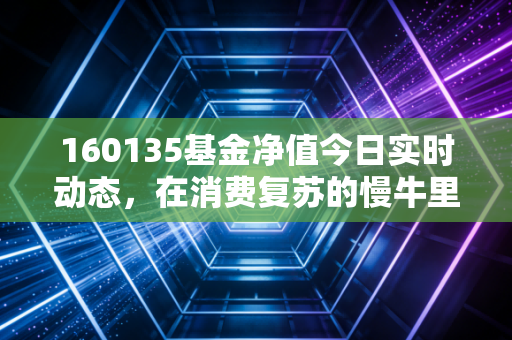 160135基金净值今日实时动态，在消费复苏的慢牛里，我们该如何安放焦虑？