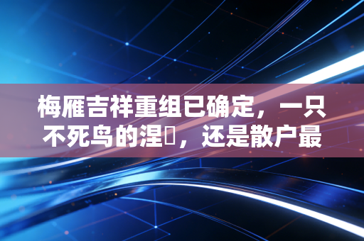 梅雁吉祥重组已确定，一只不死鸟的涅槃，还是散户最后的狂欢？