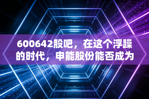 600642股吧，在这个浮躁的时代，申能股份能否成为你资产配置的定海神针？