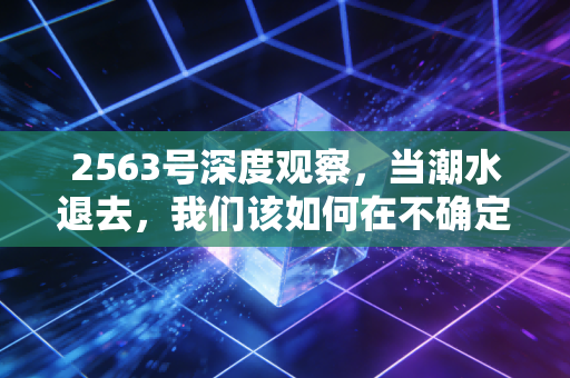2563号深度观察，当潮水退去，我们该如何在不确定的经济周期中安身立命？