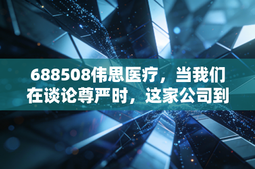 688508伟思医疗,当我们在谈论尊严时,这家公司到底在做什么?