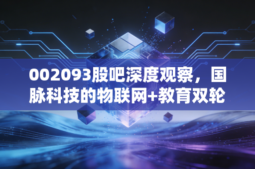 002093股吧深度观察，国脉科技的物联网+教育双轮驱动，能否撑起散户的万亿梦想？