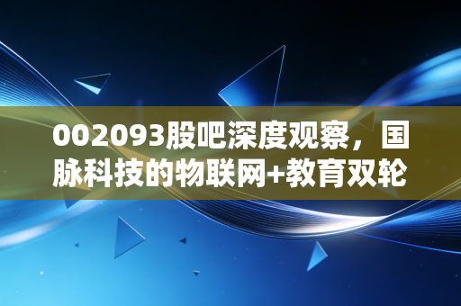 002093股吧深度观察，国脉科技的物联网+教育双轮驱动，能否撑起散户的万亿梦想？