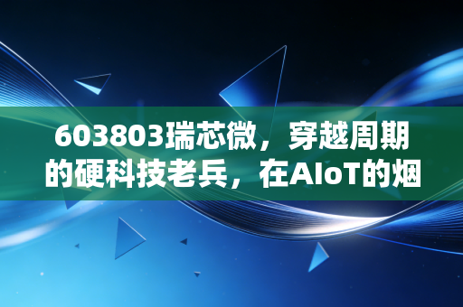 603803瑞芯微，穿越周期的硬科技老兵，在AIoT的烟火气中寻找第二春