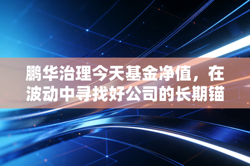 鹏华治理今天基金净值，在波动中寻找好公司的长期锚点