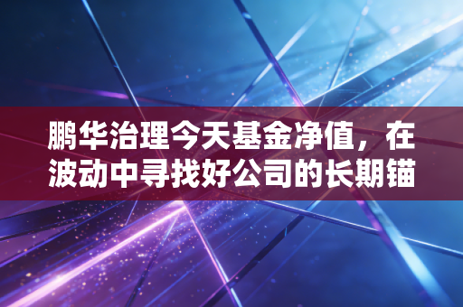 鹏华治理今天基金净值，在波动中寻找好公司的长期锚点