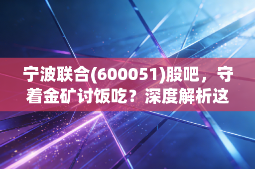 宁波联合(600051)股吧，守着金矿讨饭吃？深度解析这只磨人的老牌国企