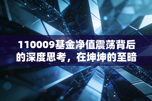110009基金净值震荡背后的深度思考，在坤坤的至暗时刻，我们是否还应该坚守价值投资？