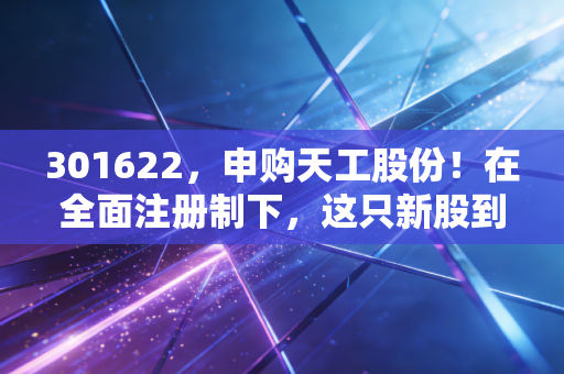 301622，申购天工股份！在全面注册制下，这只新股到底能不能打？深度剖析与实战策略