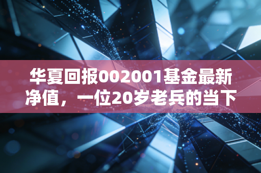 华夏回报002001基金最新净值，一位20岁老兵的当下体检与投资启示