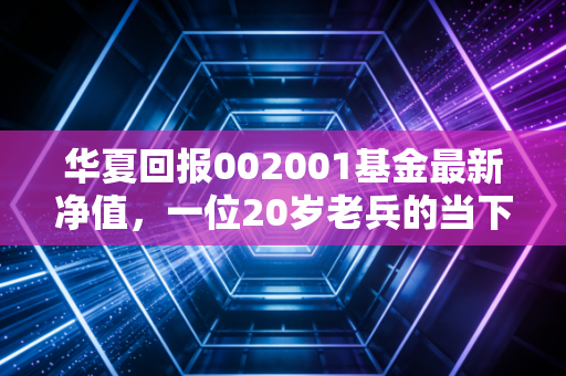 华夏回报002001基金最新净值，一位20岁老兵的当下体检与投资启示