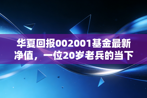 华夏回报002001基金最新净值，一位20岁老兵的当下体检与投资启示