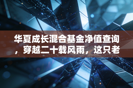 华夏成长混合基金净值查询，穿越二十载风雨，这只老将还能承载我们的财富梦想吗？
