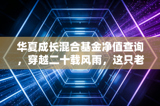 华夏成长混合基金净值查询，穿越二十载风雨，这只老将还能承载我们的财富梦想吗？