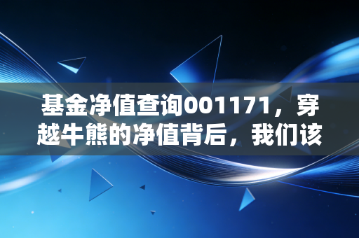 基金净值查询001171，穿越牛熊的净值背后，我们该如何守住财富的护城河？