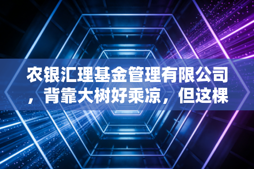 农银汇理基金管理有限公司，背靠大树好乘凉，但这棵树下的果实究竟甜不甜？