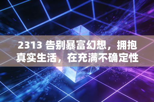 2313 告别暴富幻想，拥抱真实生活，在充满不确定性的时代，普通人该如何守住自己的财富？