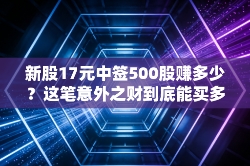 新股17元中签500股赚多少？这笔意外之财到底能买多少排骨？