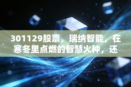 301129股票，瑞纳智能，在寒冬里点燃的智慧火种，还是资本市场的虚火？