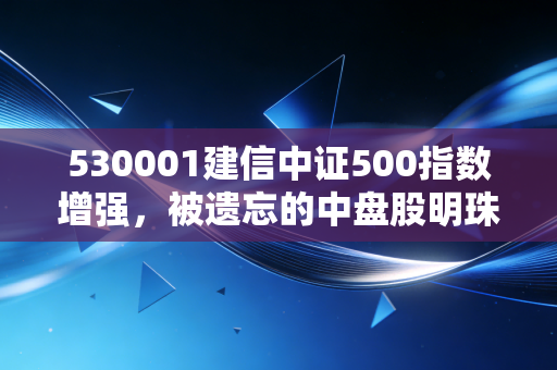 530001建信中证500指数增强，被遗忘的中盘股明珠，在波动中如何寻找增强的幸福感？