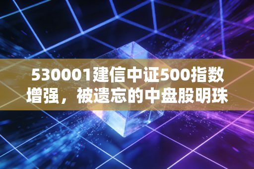 530001建信中证500指数增强，被遗忘的中盘股明珠，在波动中如何寻找增强的幸福感？