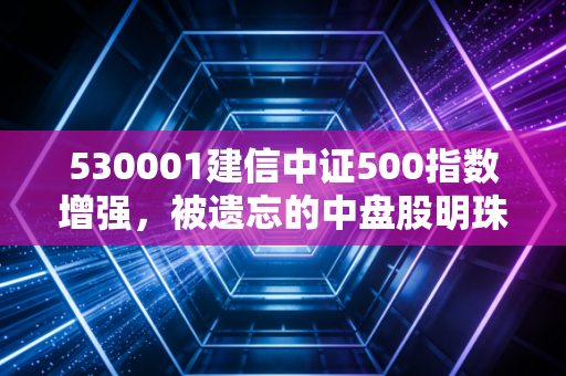 530001建信中证500指数增强，被遗忘的中盘股明珠，在波动中如何寻找增强的幸福感？
