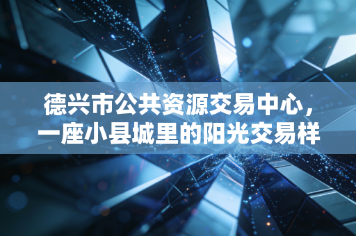 德兴市公共资源交易中心，一座小县城里的阳光交易样本与经济脉动
