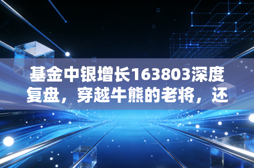基金中银增长163803深度复盘，穿越牛熊的老将，还能否在这个时代为你守住财富？